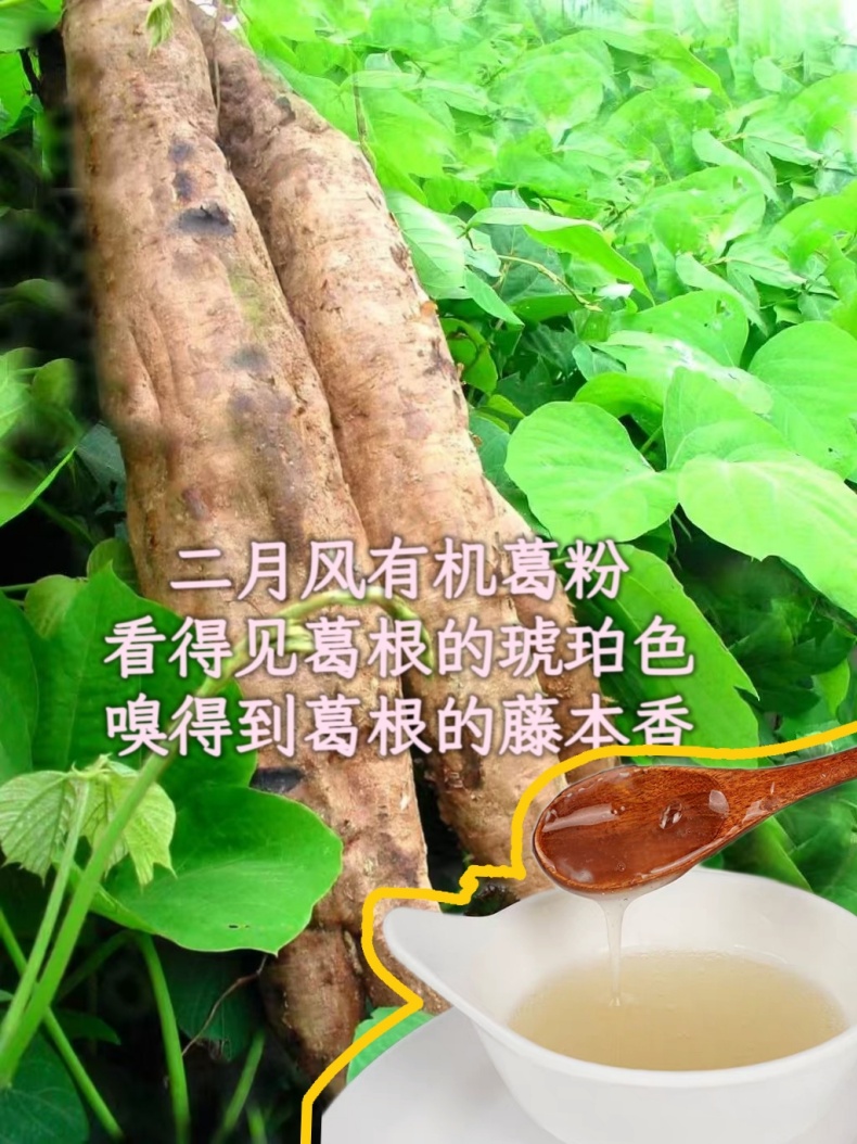 二月風有機葛粉，看得見葛根的琥珀色，嗅得到葛根的藤本香_790.jpg