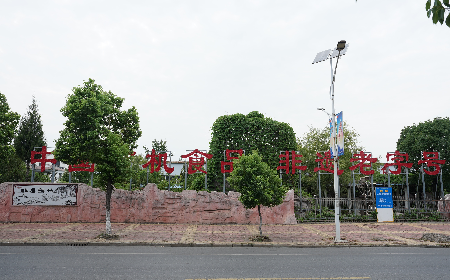 當定制葛粉時，我們真正在選擇什么？