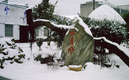 二月風(fēng)致老友：一碗葛根粉的牽掛，農(nóng)博會(huì)上的重逢之約二月風(fēng)盼老友：農(nóng)博會(huì)上，再續(xù)葛粉情緣