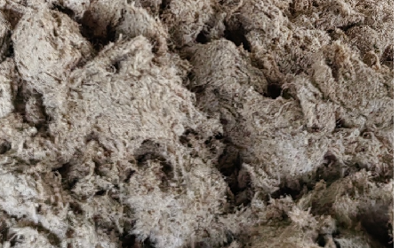 深入大洪山，只為一口純凈 -二月風今冬野生葛根收購紀實