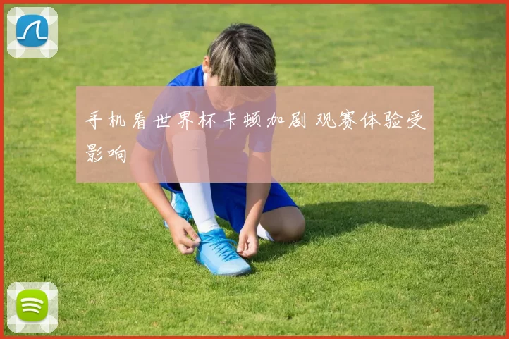 手机看世界杯卡顿加剧 观赛体验受影响