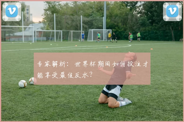 专家解析:世界杯期间如何投注才能享受最佳反水?