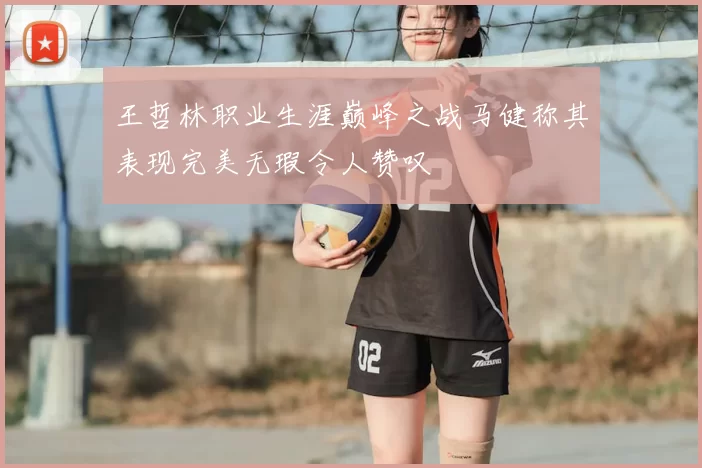 王哲林职业生涯巅峰之战马健称其表现完美无瑕令人赞叹
