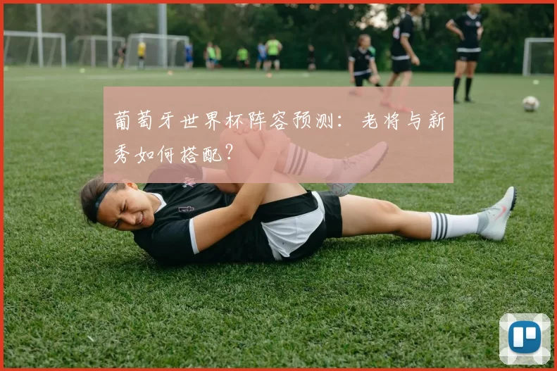 葡萄牙世界杯阵容预测:老将与新秀如何搭配?