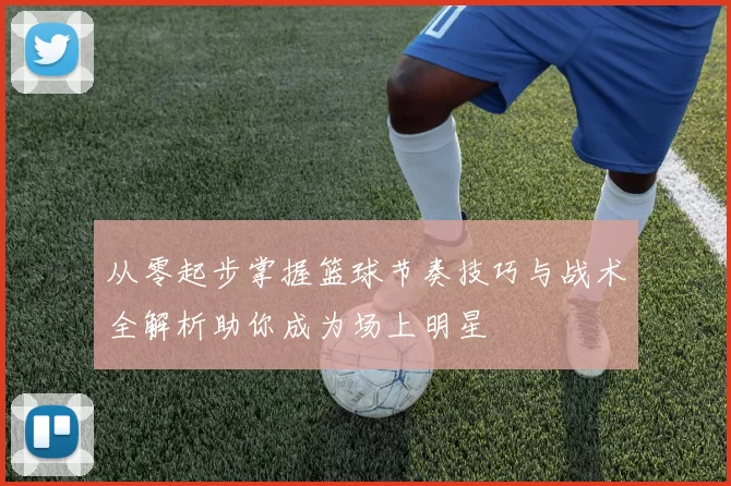 从零起步掌握篮球节奏技巧与战术全解析助你成为场上明星