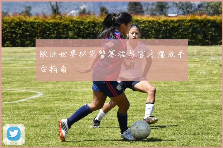 欧洲世界杯完整赛程与官方播放平台指南